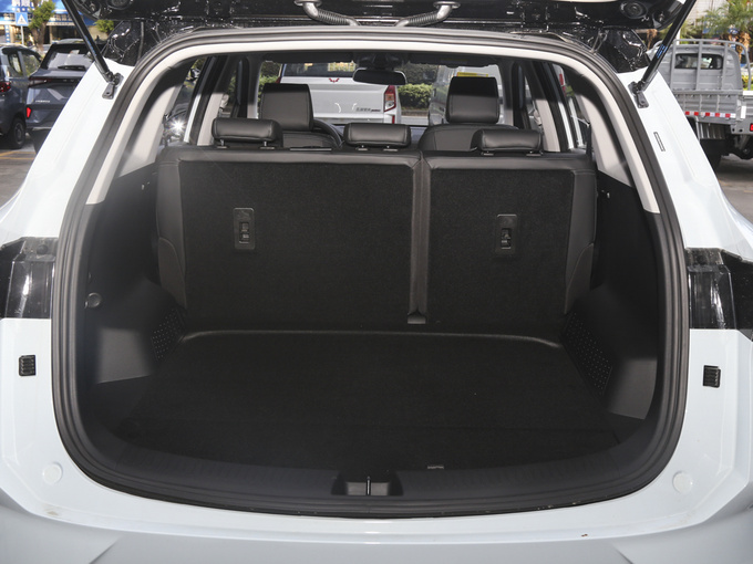 上汽通用五菱  2.0L