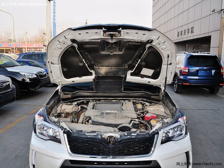 森林人动力信息图