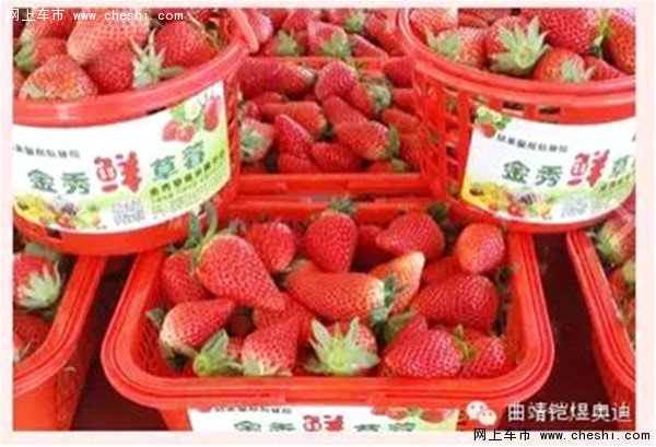 三八女神节又到啦！铠煜奥迪和你自驾游-图4