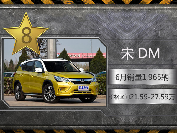 上半年十大“电动车”畅销 谁说自主不够强-图8