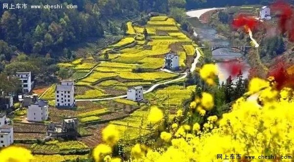 油菜花开，游览南京周边最“黄”的地方-图14