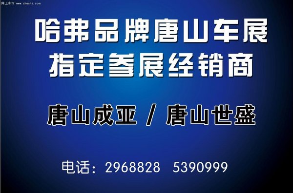 唐山世盛邀您聚焦唐山车展-图12