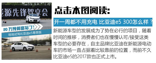 便宜也要更持久 15万搞定续航300公里车型-图1
