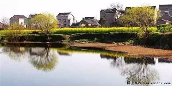 油菜花开，游览南京周边最“黄”的地方-图12