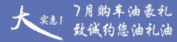 大实惠 7月9日河南威佳致诚开业盛典-图6