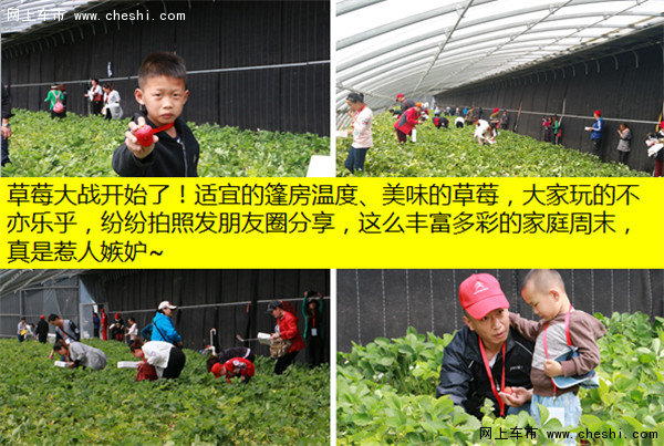 全新爱丽舍车友俱乐部保定野三坡自驾游-图18
