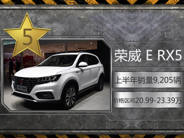 上半年十大“电动车”畅销 谁说自主不够强-图5