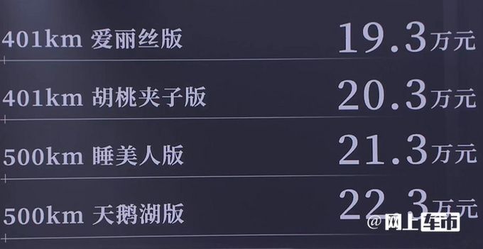欧拉芭蕾猫售19.3万元起尺寸超smart精灵#1-图4
