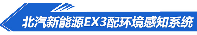 补贴新政扭转消费趋势 下半年20款纯电车齐发-图5