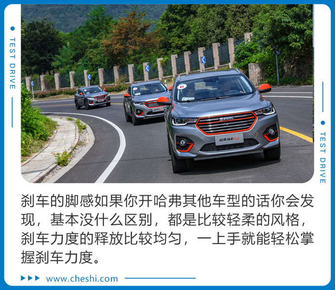 前方高能日出东方既视感试驾哈弗H4 Pro-图18
