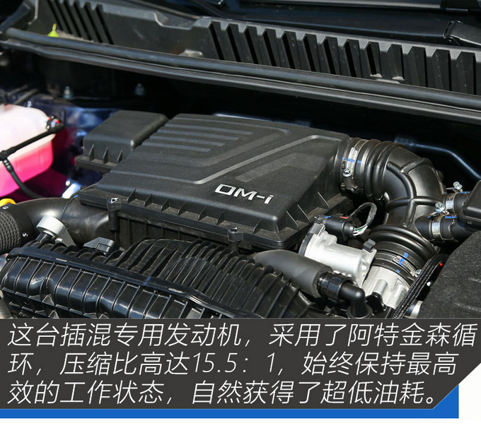 给幸福生活升个舱 抢先实拍2022款宋MAX DM-i-图6