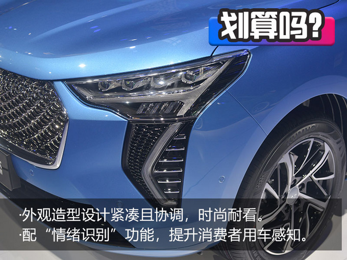 光是听名字可能就会喜欢上它实拍哈弗初恋-图14