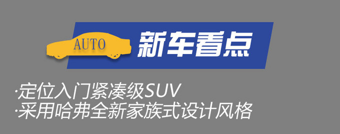 光是听名字可能就会喜欢上它实拍哈弗初恋-图5