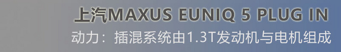 比宋MAX DM大 这款上汽MAXUS插混MPV实力如何-图6