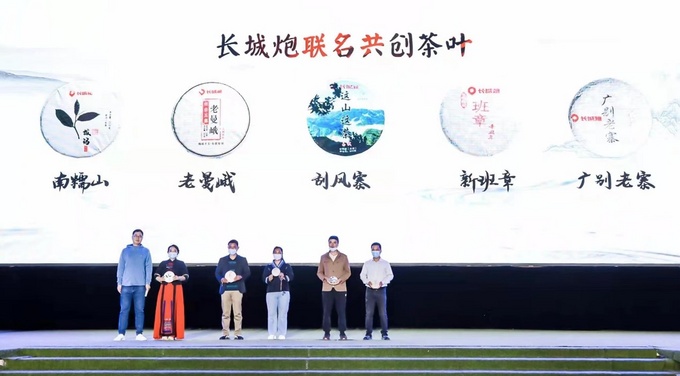 长城皮卡1-11月全球销量突破20万海外同比大增128-图17