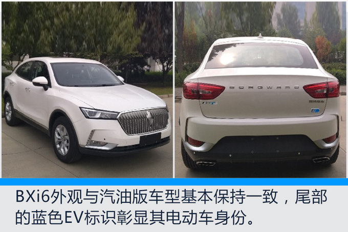 补贴新政扭转消费趋势 下半年20款纯电车齐发-图13