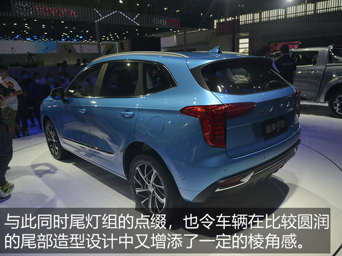 光是听名字可能就会喜欢上它实拍哈弗初恋-图13