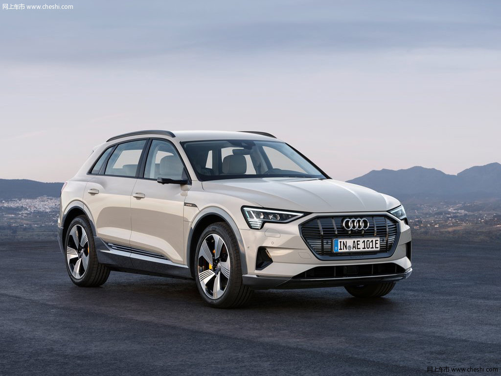 奥迪e-tron(进口) 图片